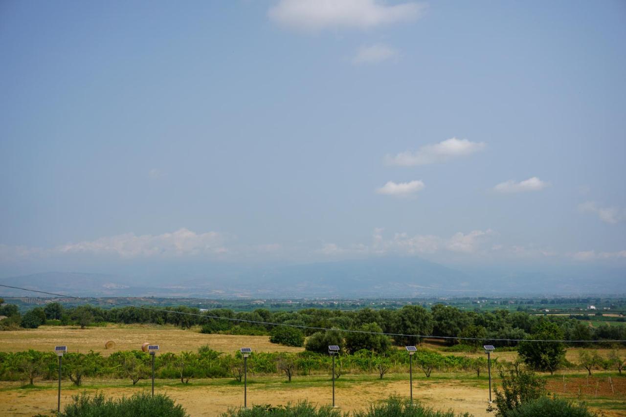 Agriturismo Casacchella Marina di Sibari Zewnętrze zdjęcie