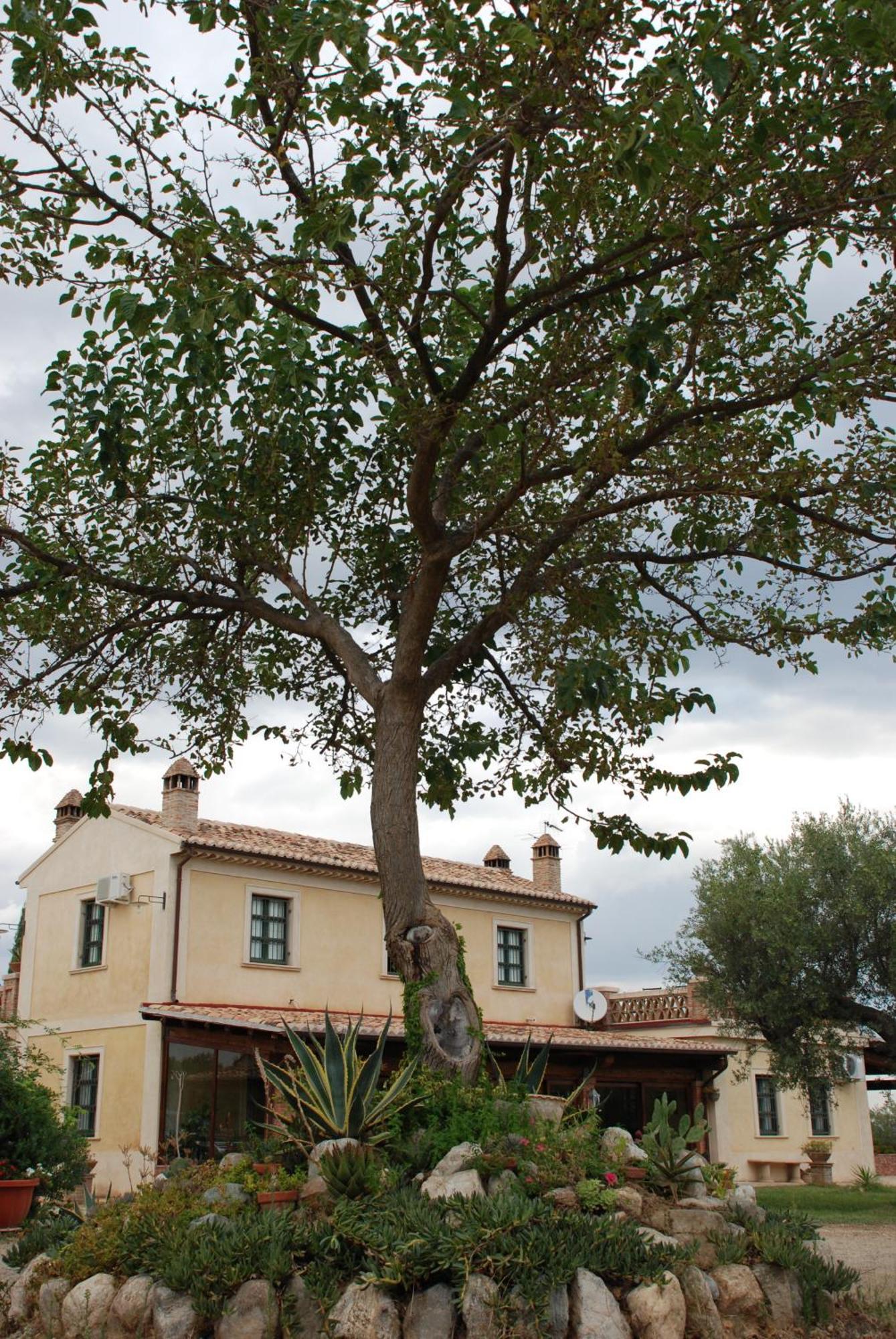 Agriturismo Casacchella Marina di Sibari Pokój zdjęcie